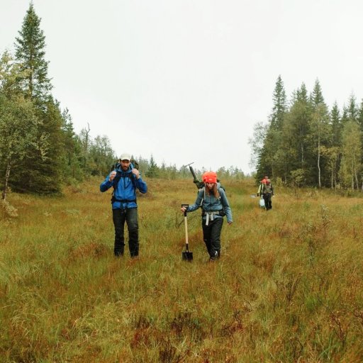 Four people wearing backpacks and outdoor gear hike through a grassy, forested area with trees in the background under an overcast sky.