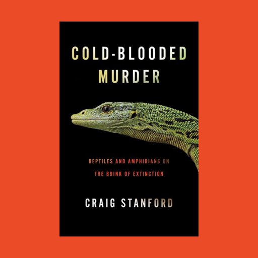 Book cover of "Cold-Blooded Murder" by Craig Stanford, featuring a close-up of a green lizard’s head—evocative of komodo dragons—set against a black background with striking orange and white text.