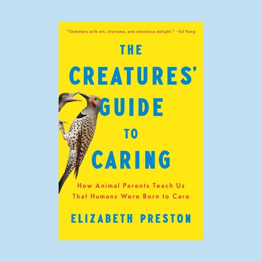 Book cover for "The Creatures' Guide to Caring" by Elizabeth Preston, featuring two woodpeckers on a yellow background with blue and red text, perfectly capturing the heart of the creature’s guide to caring.