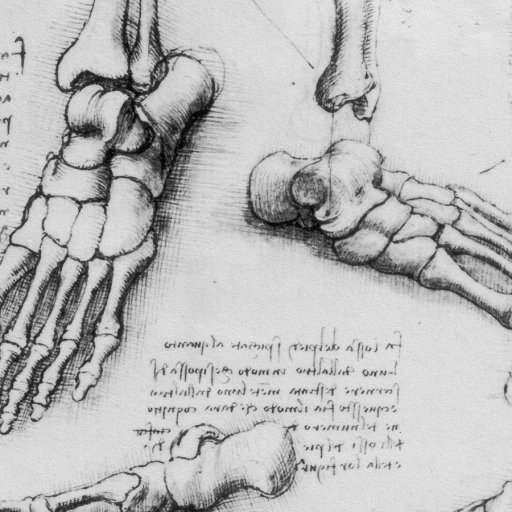 Anatomy of the foot by Leonardo da Vinci.