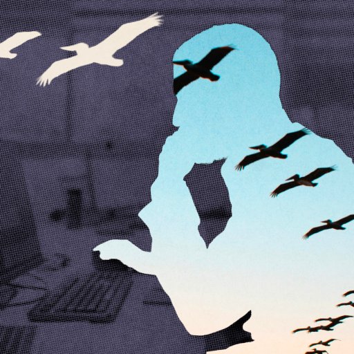 A silhouette of a person thinking is filled with an image of birds soaring in the sky, layered over a dark, blurred office background.