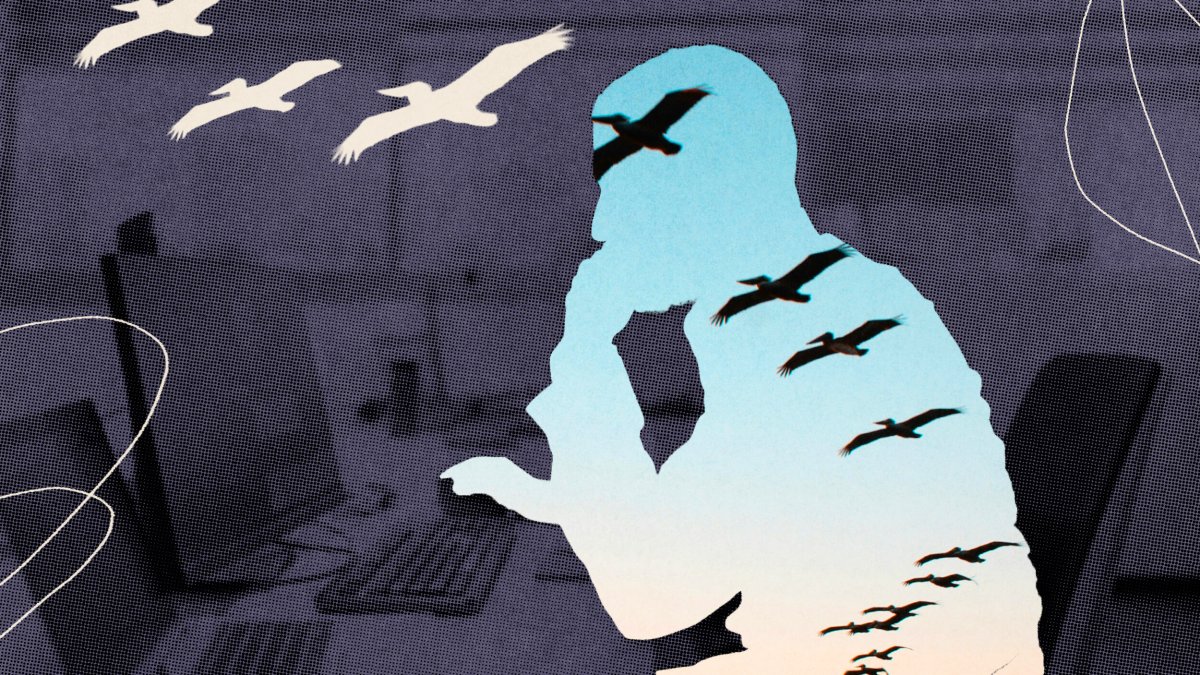 A silhouette of a person thinking is filled with an image of birds soaring in the sky, layered over a dark, blurred office background.